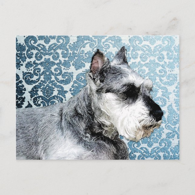 Painted Miniature Schnauzer Postkarte (Vorderseite)