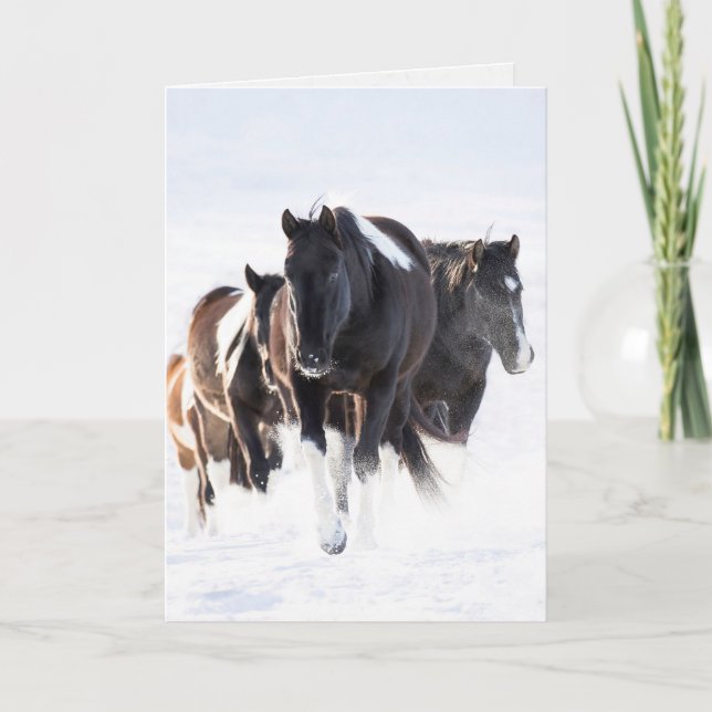"Painted Snow Day II"- Wild Horse Greeting Card Karte (Vorderseite)