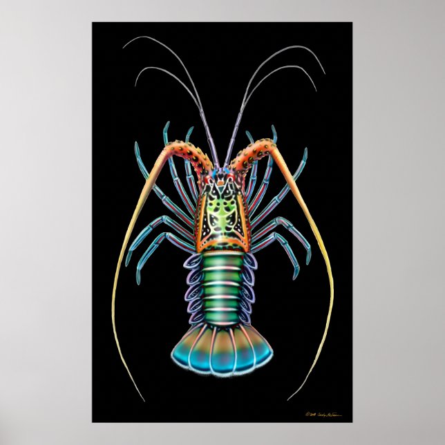 Painted Spiny Hummer Poster (Vorne)