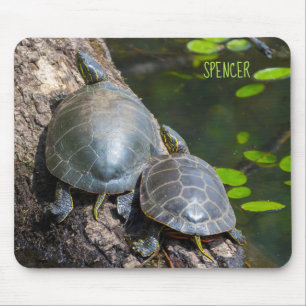 Painted Turtle Pair Mousepad