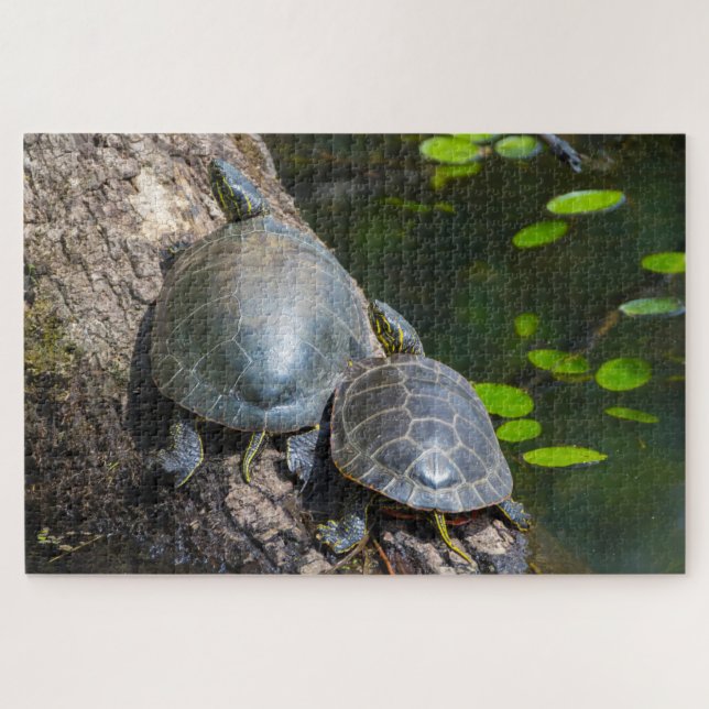 Painted Turtle Pair Puzzle (Horizontal)