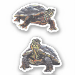 Painted Turtle Vinyl Sticker