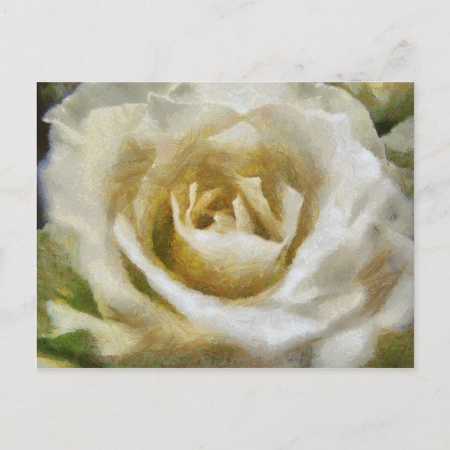 Painted White Rose Postcard Postkarte (Vorderseite)