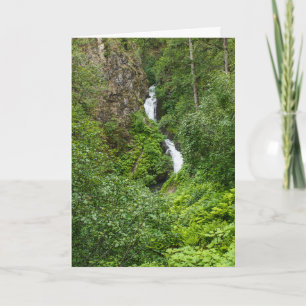 Painterly Plunderbird Karte