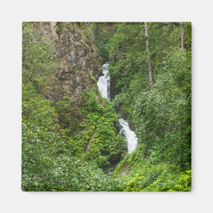 Painterly Plunderbird Magnet