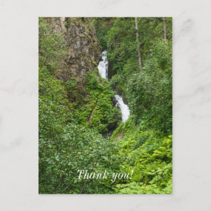 Painterly Plunderbird Postkarte