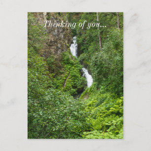 Painterly Plunderbird Postkarte