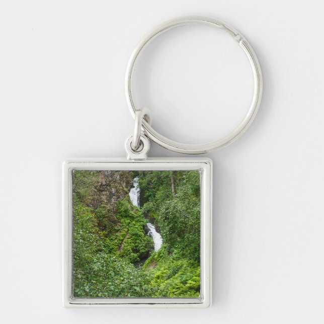 Painterly Plunderbird Schlüsselanhänger (Vorne)