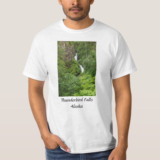 Painterly Plunderbird T-Shirt (Vorderseite)