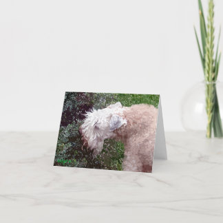 Painterly Waverly Feiertagskarte