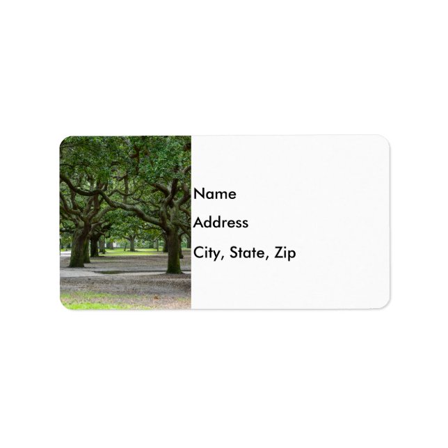 Painterly White Point Gardens Adressaufkleber (Vorne)