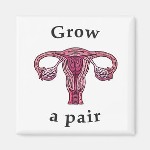 Pair (der Eierstöcke) züchten Magnet