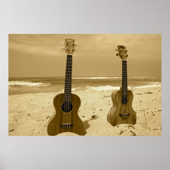 Pair o' Ukes Poster (Vorne)