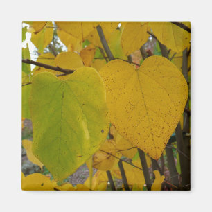 Pair of Fall Redbud Blätter Herbstfotografie Magnet