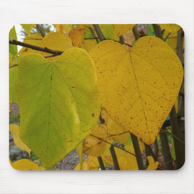 Pair of Fall Redbud Blätter Herbstfotografie Mousepad (Vorne)