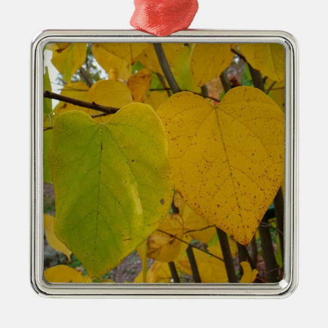 Pair of Fall Redbud Blätter Herbstfotografie Ornament Aus Metall (Vorne)