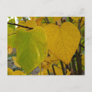 Pair of Fall Redbud Blätter Herbstfotografie Postkarte
