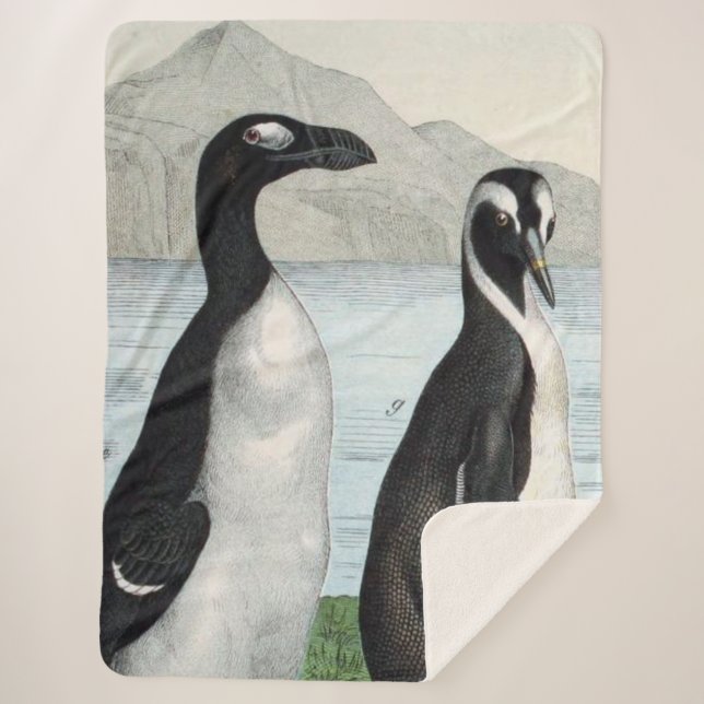 Pair of Pinguins - Badetuch Sherpadecke (Vorderseite)
