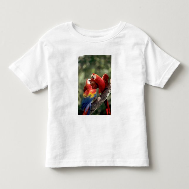 Pair of Scarlet Macaws Kleinkind T-shirt (Vorderseite)