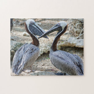 Pair Pelicans Jigsaw Puzzle