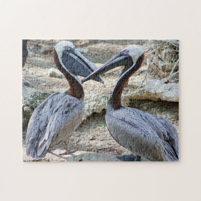 Pair Pelicans Jigsaw Puzzle (Horizontal)