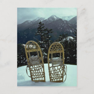 Pairing in zauberhaftem Weiß Postkarte