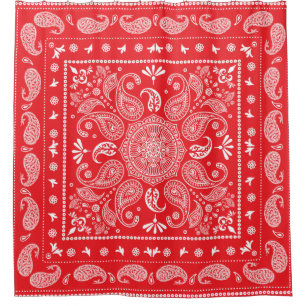 Paisley Design-1 Duschvorhang