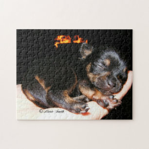 Paisley Marie 1 Puzzle