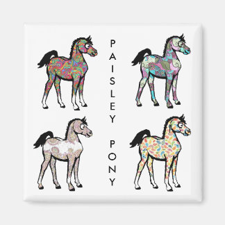 Paisley Pony Magnets Magnet