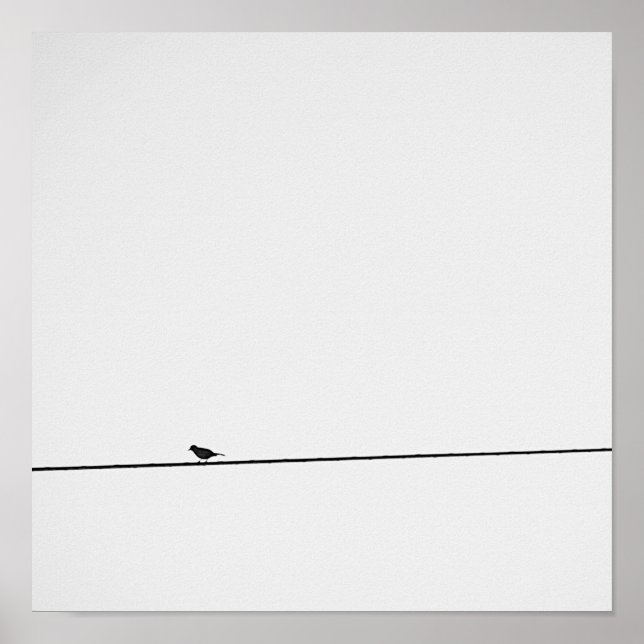 Pájaro posado en blanco y negro poster (Vorne)