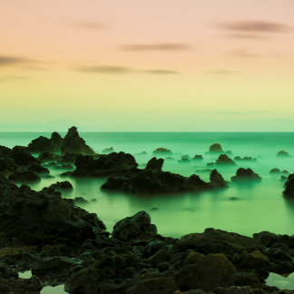 PAKE SALMON - HAWAIIAN FINE ART CALENDAR 2024 KALENDER