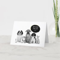PAKET DER PUPPIEN SAGEN GLÜCKLICH "1." GEBURTSTAG