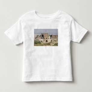 Pakistan, Dina. Talaqi-Tor aus der Sicht von Kleinkind T-shirt