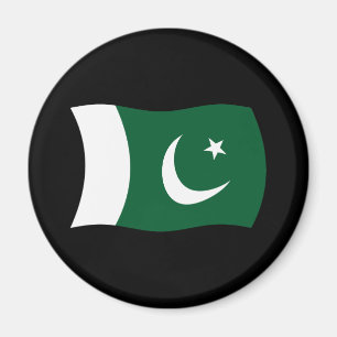 Pakistan Flag Magnet