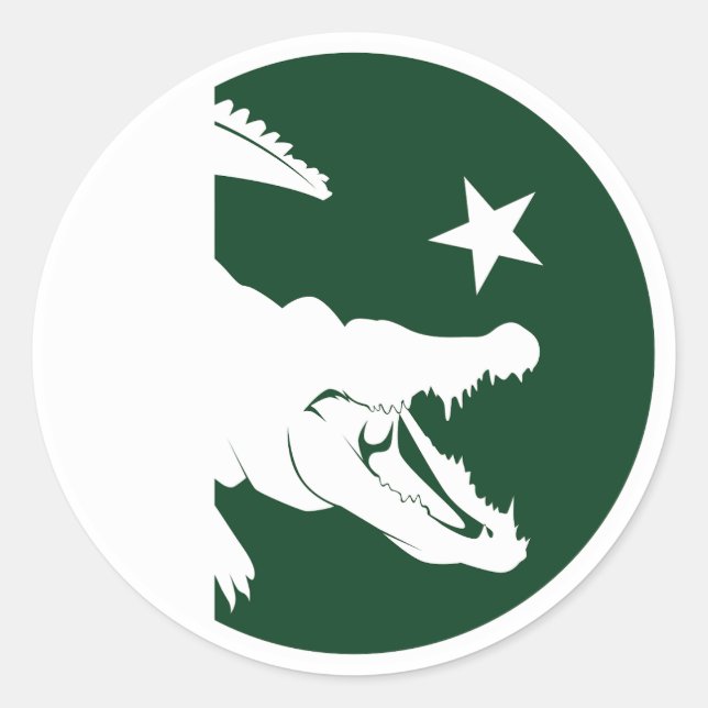 Pakistan Krokodile pakistanische Nationalflagge Runder Aufkleber (Vorderseite)