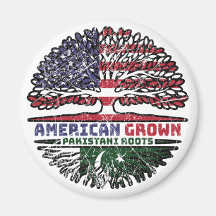 Pakistan Pakistani USA USA Vereinigte Staaten Magnet