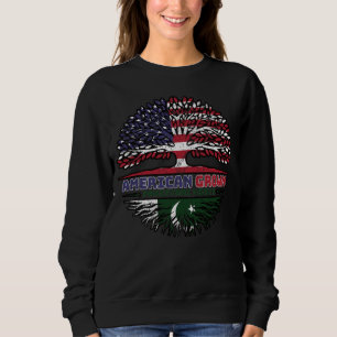 Pakistan Pakistani USA USA Vereinigte Staaten Sweatshirt