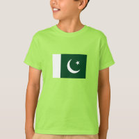 pakistanische Flagge