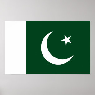 Pakistanisches Flaggenposter Poster