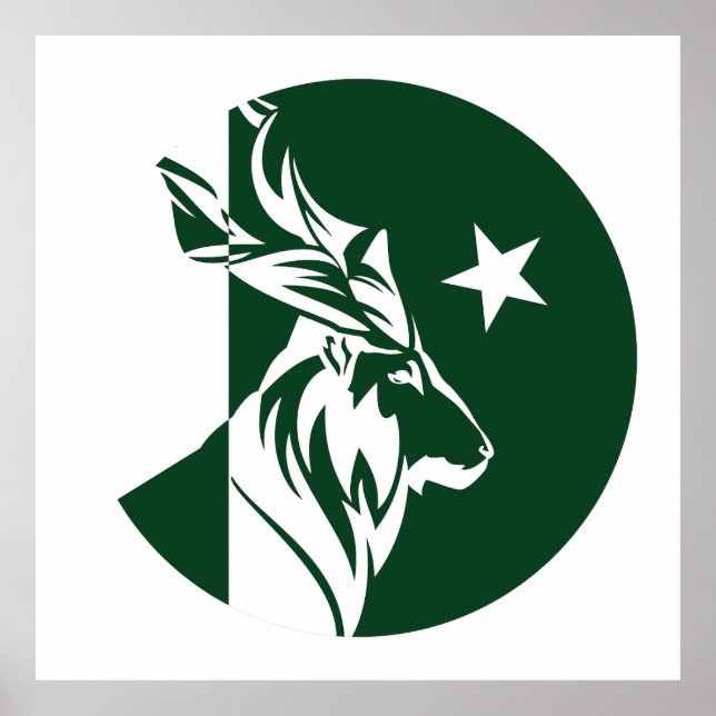Pakistans nationale Flagge Markhor Pakistani Poster (Vorne)