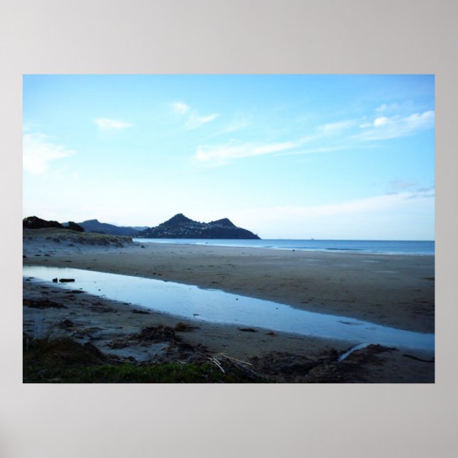 Paku vom Strand Pauanui Poster (Vorne)