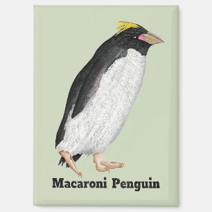 Paläeudyptes Extinct Pinguin Magnet