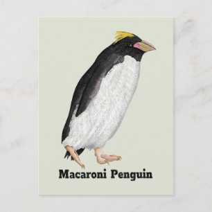 Paläeudyptes Extinct Pinguin Postkarte
