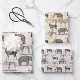 Paläontologe Wooly Mammoth und Giant Irish Elk Geschenkpapier Set