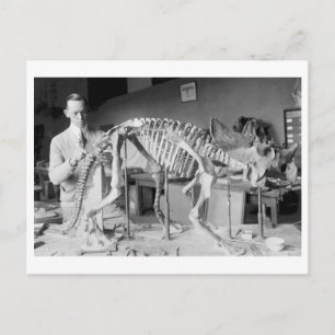 Paläontologie Wissenschaftler Baby Dinosaurier Vin Postkarte