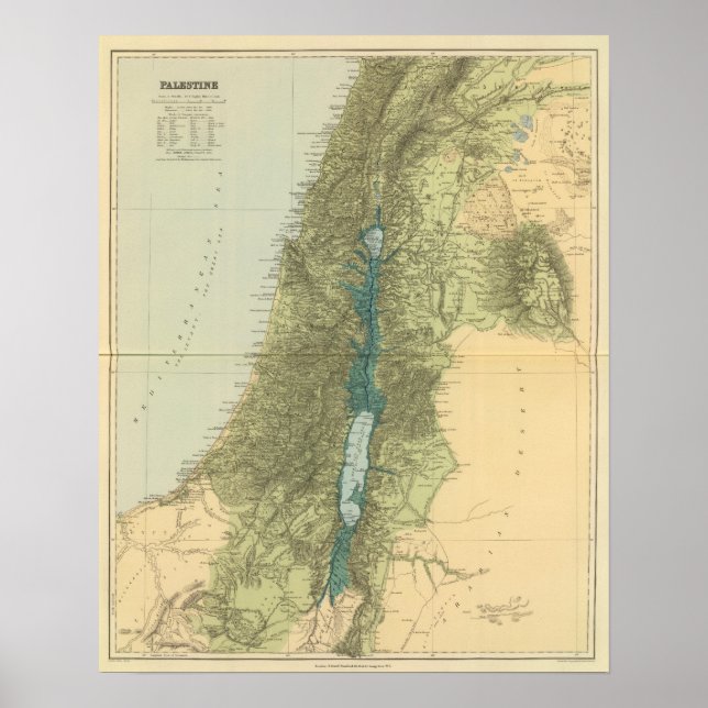 Palästina 3 poster (Vorne)