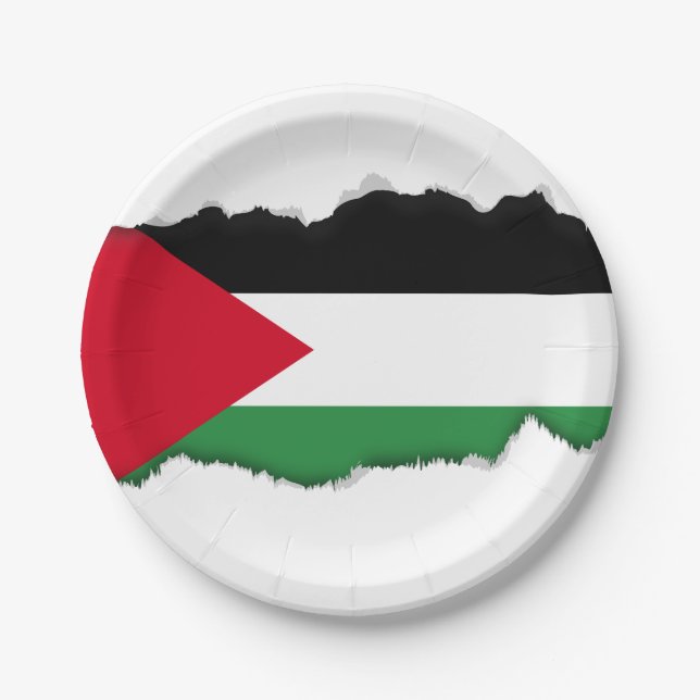 Palästina-Flagge Pappteller (Vorderseite)