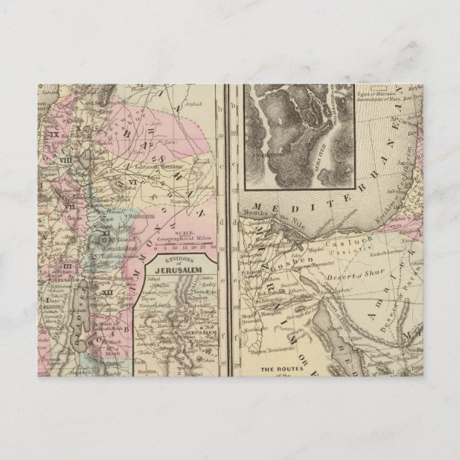 Palästina, Israeliten Postkarte (Vorderseite)