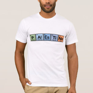 Palästina machte von den Elementen T-Shirt