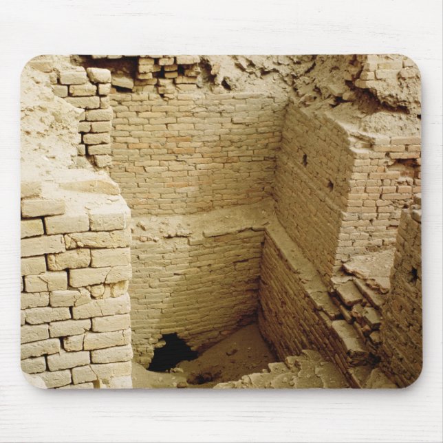 Palastruine Mousepad (Vorne)